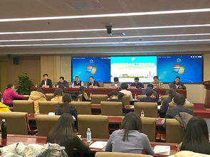 海淀區信息公開大廳信息系統運行維護服務 保障政務透明與高效運轉的關鍵支撐